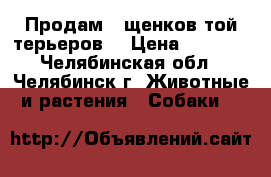 Продам 3 щенков той-терьеров. › Цена ­ 6 000 - Челябинская обл., Челябинск г. Животные и растения » Собаки   